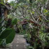 Отель Green Taman Ubud, фото 18