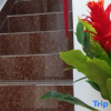 Отель Huizhou Mangrove Bay Binhaishan Lake View Center Apartment, фото 14
