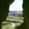 Отель La Joya del Valle de Ricote, фото 34