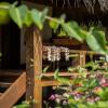 Отель Etu Moana Boutique Beach Villas - Adults Only, фото 21