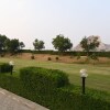 Отель Rajshree Resort, фото 14