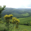 Отель Agriturismo Pian di Frattina, фото 8