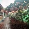 Отель Bougainvillea Homestay, фото 16