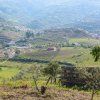 Отель Quinta dos Padrinhos - Suites in the Heart of the Douro, фото 19