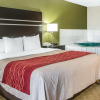 Отель Comfort Inn & Suites Maumee - Toledo (I80-90), фото 30