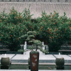 Отель TianXiFucheng Xiyuan Hotel, фото 24
