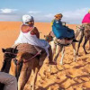 Отель Luxury desert camp Merzouga, фото 25