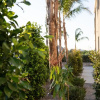 Отель Palmeral Luxury Suites, фото 35