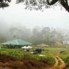 Отель Camping In Remote Coorg, фото 12