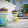 Отель Bellissima Villa Nereide sul Mare, фото 1