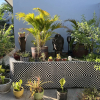 Отель Pasifika Guesthouse, фото 1