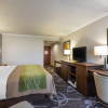 Отель Comfort Inn Anaheim Resort, фото 20