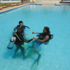 Отель Thresher Cove Dive Resort, фото 23