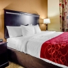Отель Comfort Suites Florence - Cincinnati South, фото 5