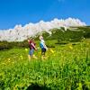 Отель Ferienwohnungen Hotel Garni Dörflerwirt, фото 8