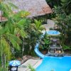 Отель Ceiba Tops Lodge, фото 4