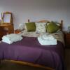 Отель Ty Newydd Bed and Breakfast в Ллангадог