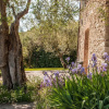 Отель Villa Sorgente, фото 13