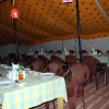 Отель Tsomoriri Inn, фото 17