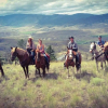 Отель YD Guest Ranch, фото 15