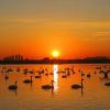 Отель Huaxing Hotel - Rongcheng, фото 13