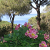 Отель Three Roomapt For 4 Pax, 150 Mt To The Sea-Silvia A, фото 18