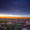 Отель The Bear Country Inn, фото 9