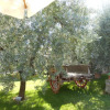 Отель Podere La Casuccia, фото 2