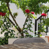 Отель Angelika House 1, фото 14