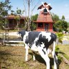 Отель Cowboy Farm Resort Pattaya, фото 23