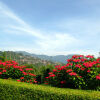 Отель Doi Tung Lodge, фото 28