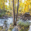 Отель Riverview 11 in Aspen, фото 33