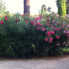 Отель Apartment Les Eucalyptus, фото 7