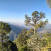 Отель Binsar View Homestay, фото 5