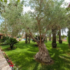 Отель Can Rovey in Inca With 4 Bedrooms and 4 Bathrooms, фото 22