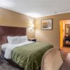 Отель Quality Inn & Suites Ft. Jackson Maingate, фото 16