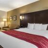 Отель Comfort Inn & Suites, фото 11