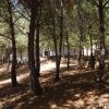 Отель Camping ValdeArenas, фото 13