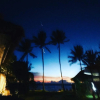 Отель Palm Leaf Resort, фото 14