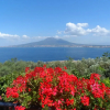 Отель Ancelle Sorrento, фото 24