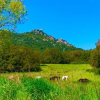 Отель L'Aravone Lodge, фото 6