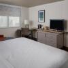 Отель Holiday Inn Tampa Westshore - Airport Area, an IHG Hotel, фото 4
