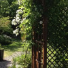 Отель Sealladh Breagh - Luxury Self Catering Aviemore, фото 3
