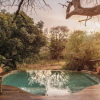 Отель Tuningi Safari Lodge, фото 22