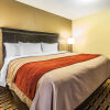 Отель Comfort Inn & Suites Cleveland, фото 6