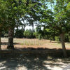 Отель Agroturismo Es Palmer, фото 28