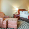 Отель Comfort Inn And Suites, фото 4