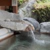 Отель Ongakunomori Hot Springs Glamping Resort, фото 1