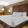 Отель Comfort Inn & Suites near Danville Mall, фото 6
