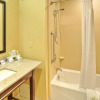 Отель Holiday Inn Express Hotel & Suites Frankenmuth, an IHG Hotel, фото 9